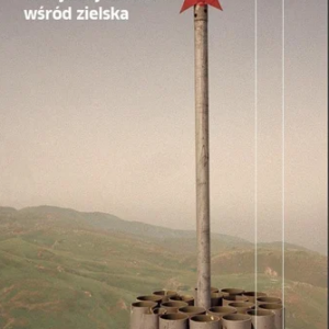 W rajskiej dolinie wśród zielska Audi...